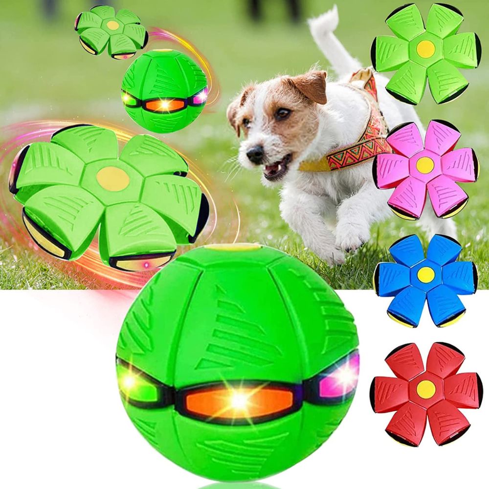 GlowGo™ Flying Saucer Pet Toy