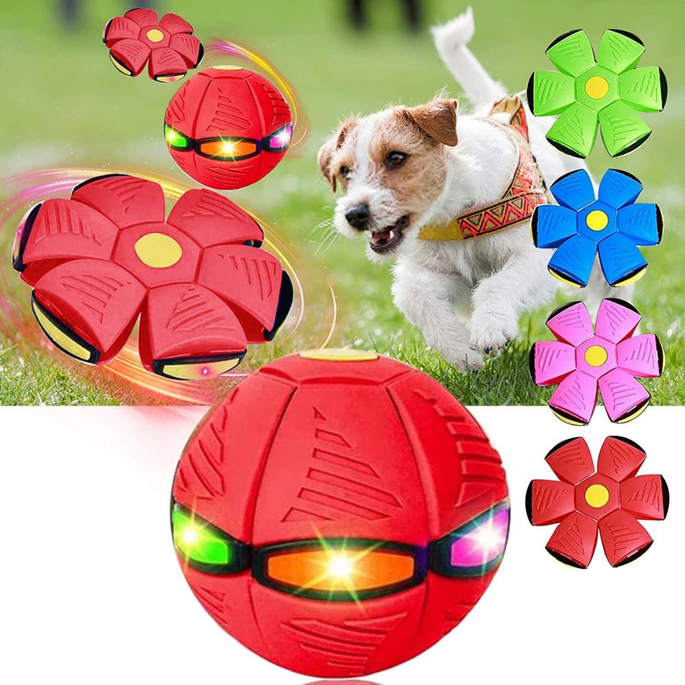 GlowGo™ Flying Saucer Pet Toy