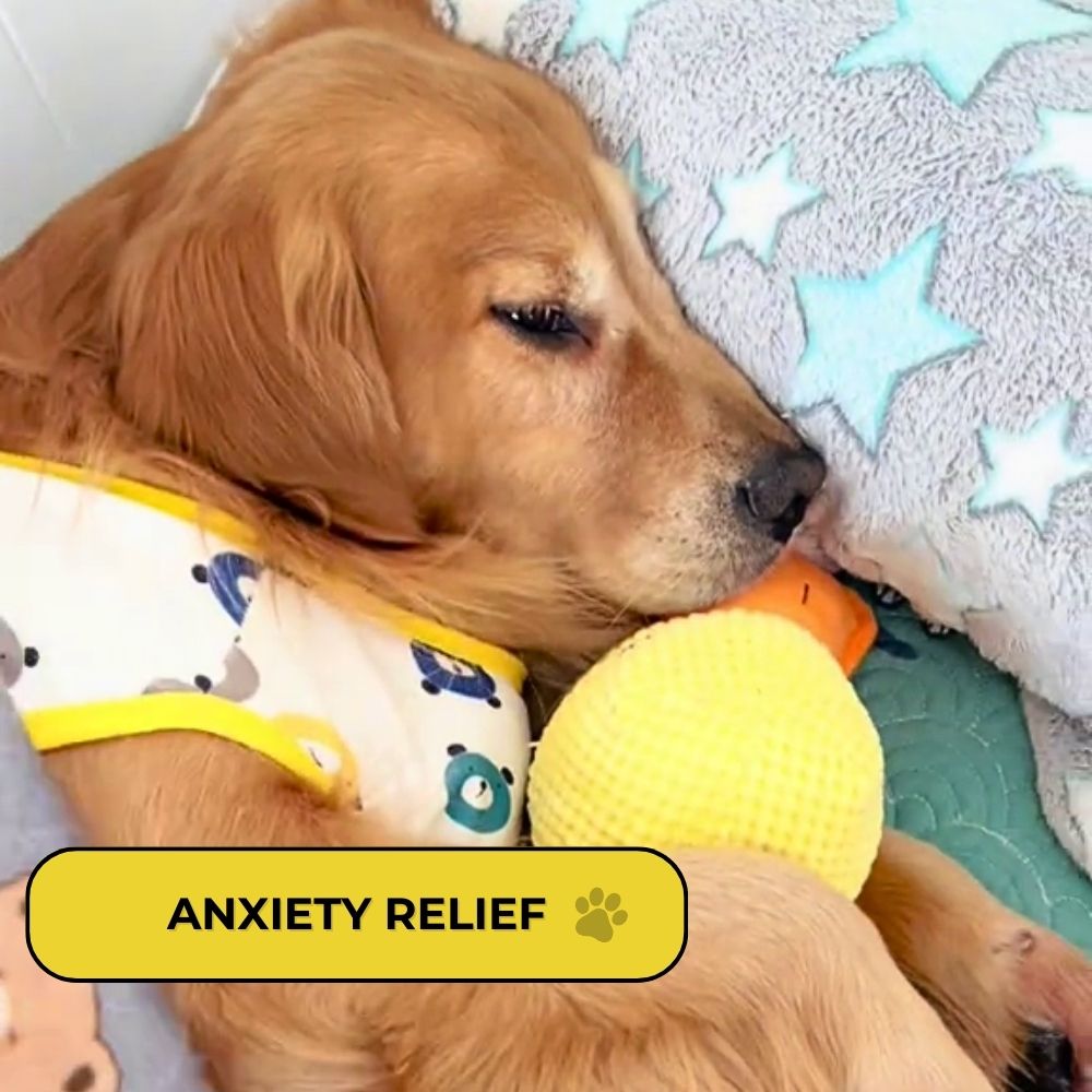 QuackPal™ Calming Duck