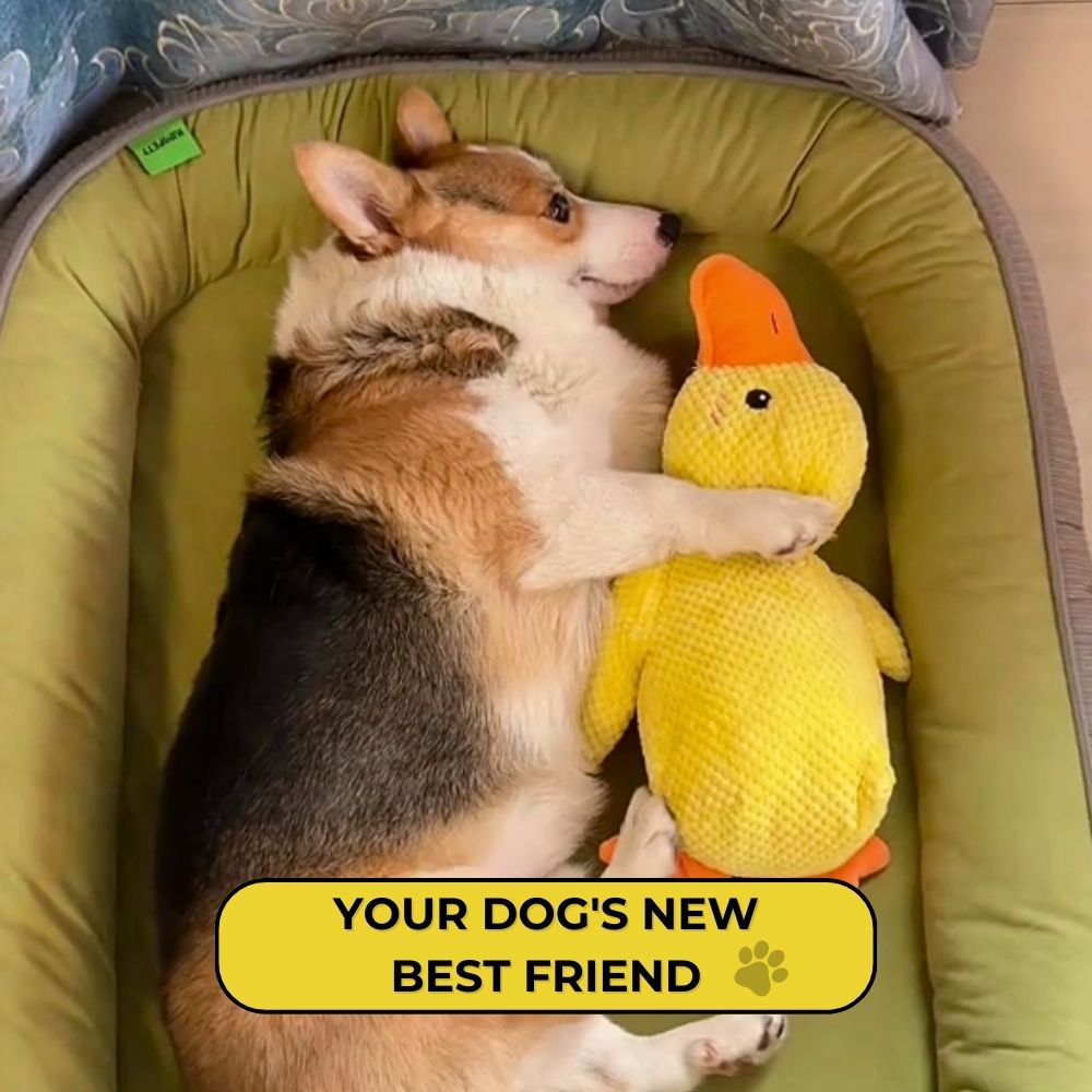 QuackPal™ Calming Duck