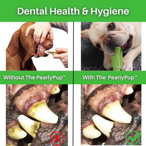 PearlyPup™ Dog Toothbrush Toy