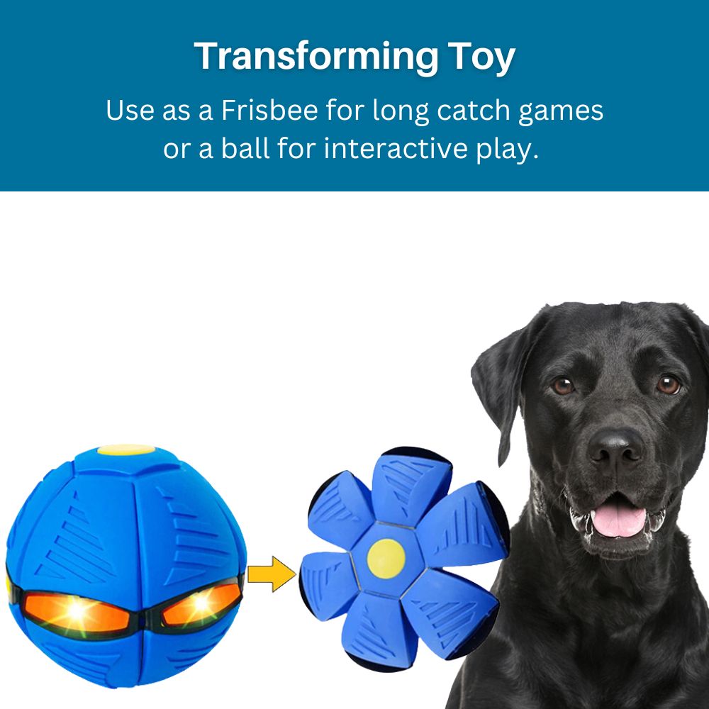 GlowGo™ Flying Saucer Pet Toy