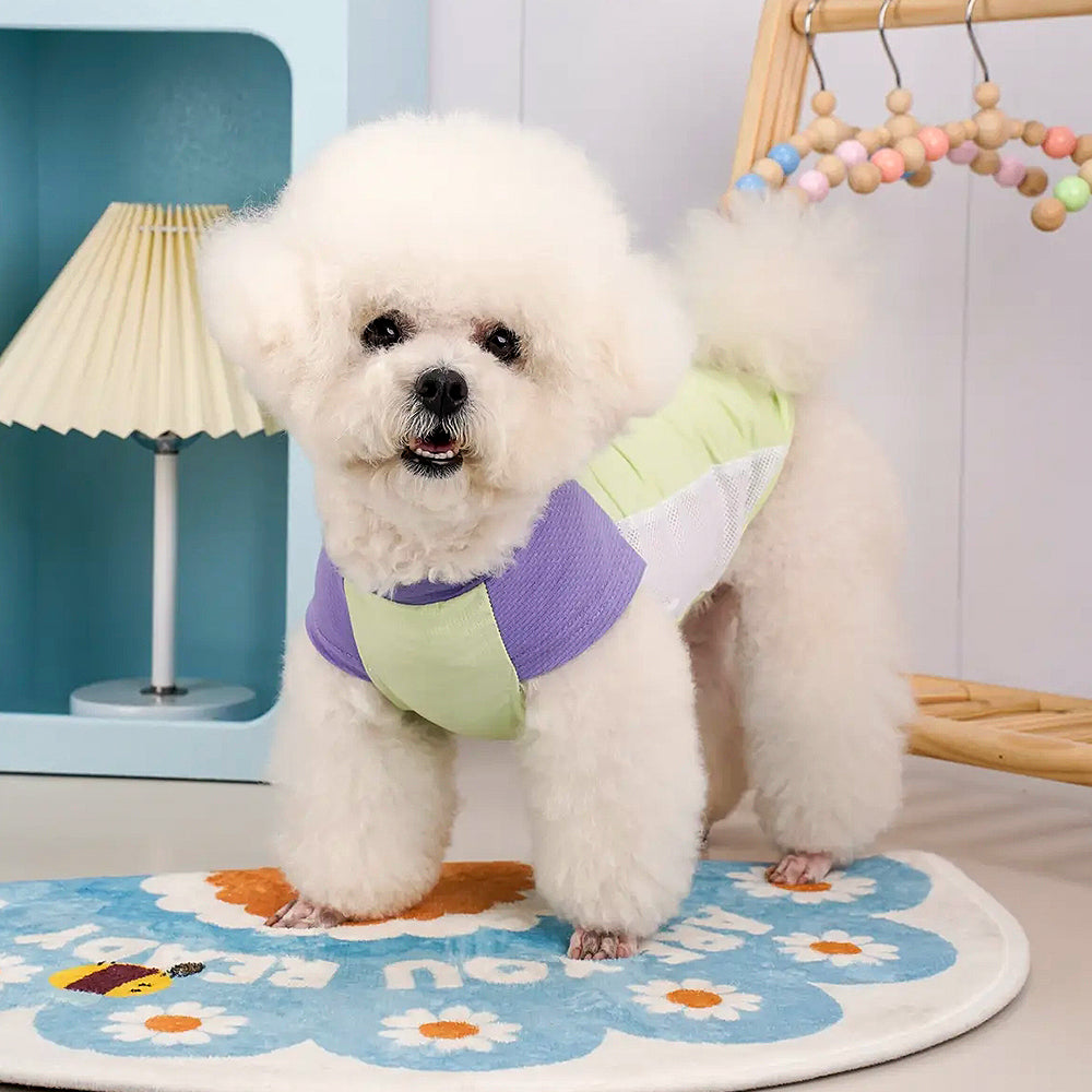 Zallopaws Summer Pet Cooling Vest