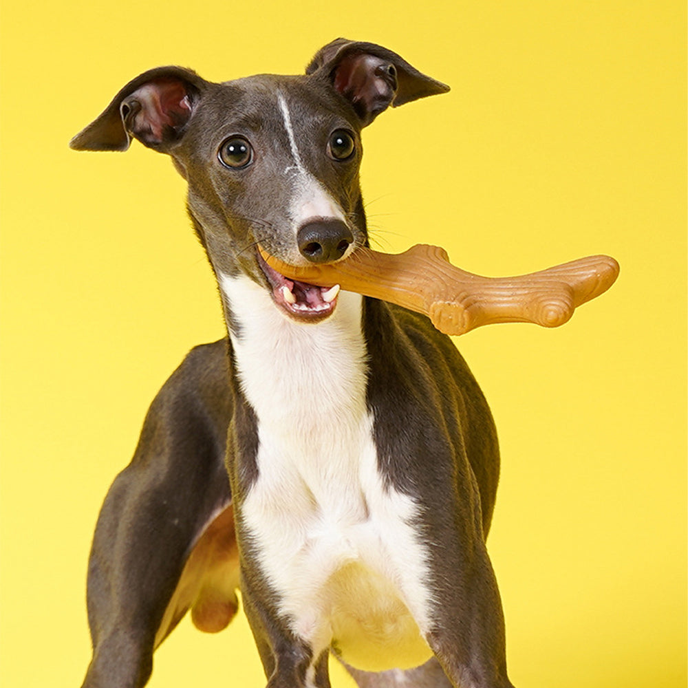 Pretzel Teeth Cleaning Toys