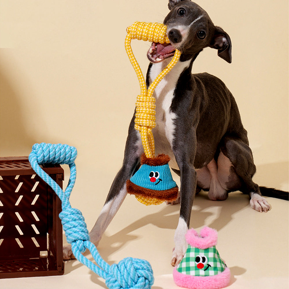 Pull & Play Interactive Tug Light Rope Toys