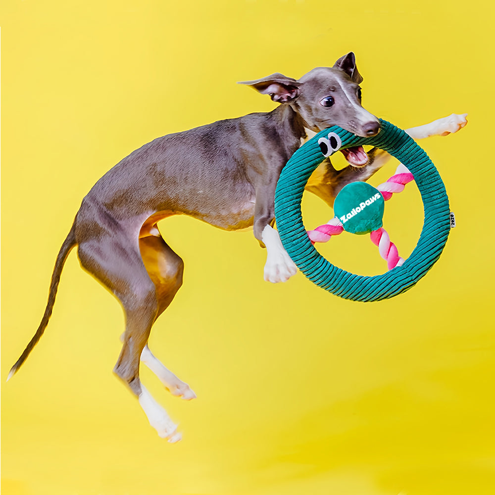 Steering Wheel Rope Pet Toy