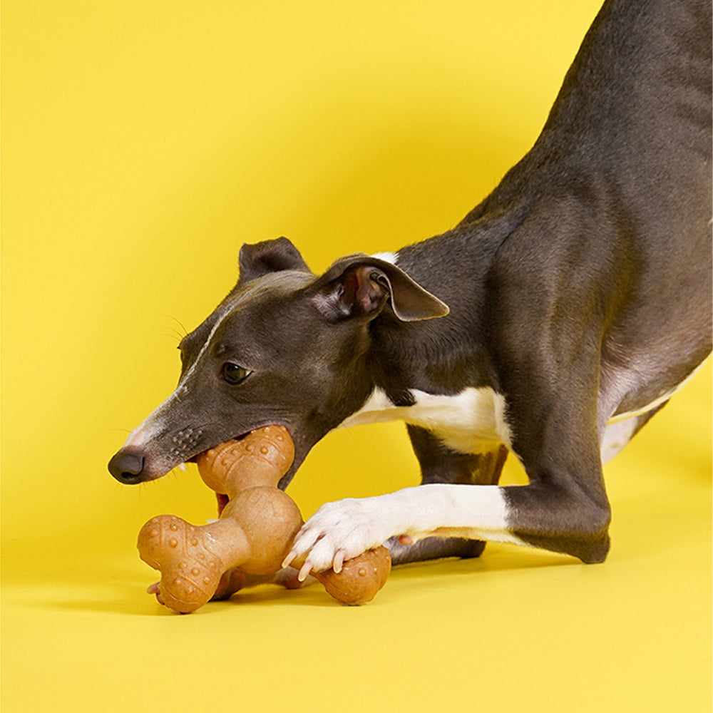 Pretzel Teeth Cleaning Toys