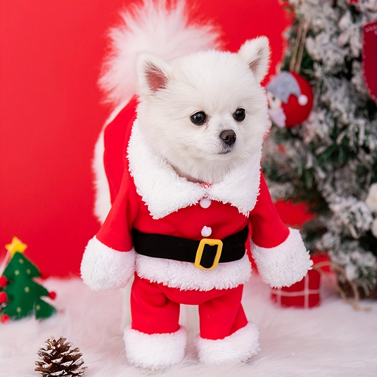 Costume for small breed animals
