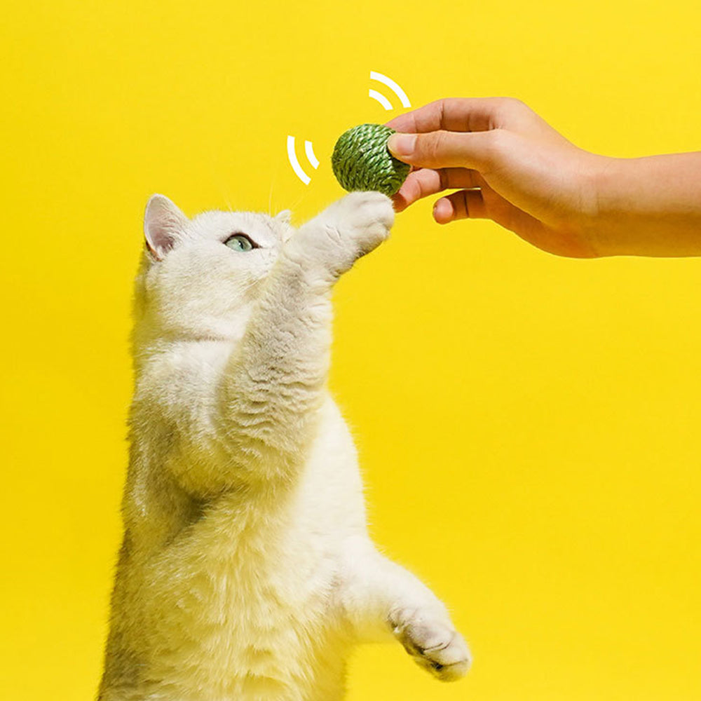 Pea Pod Sisal Ball Pet Toys