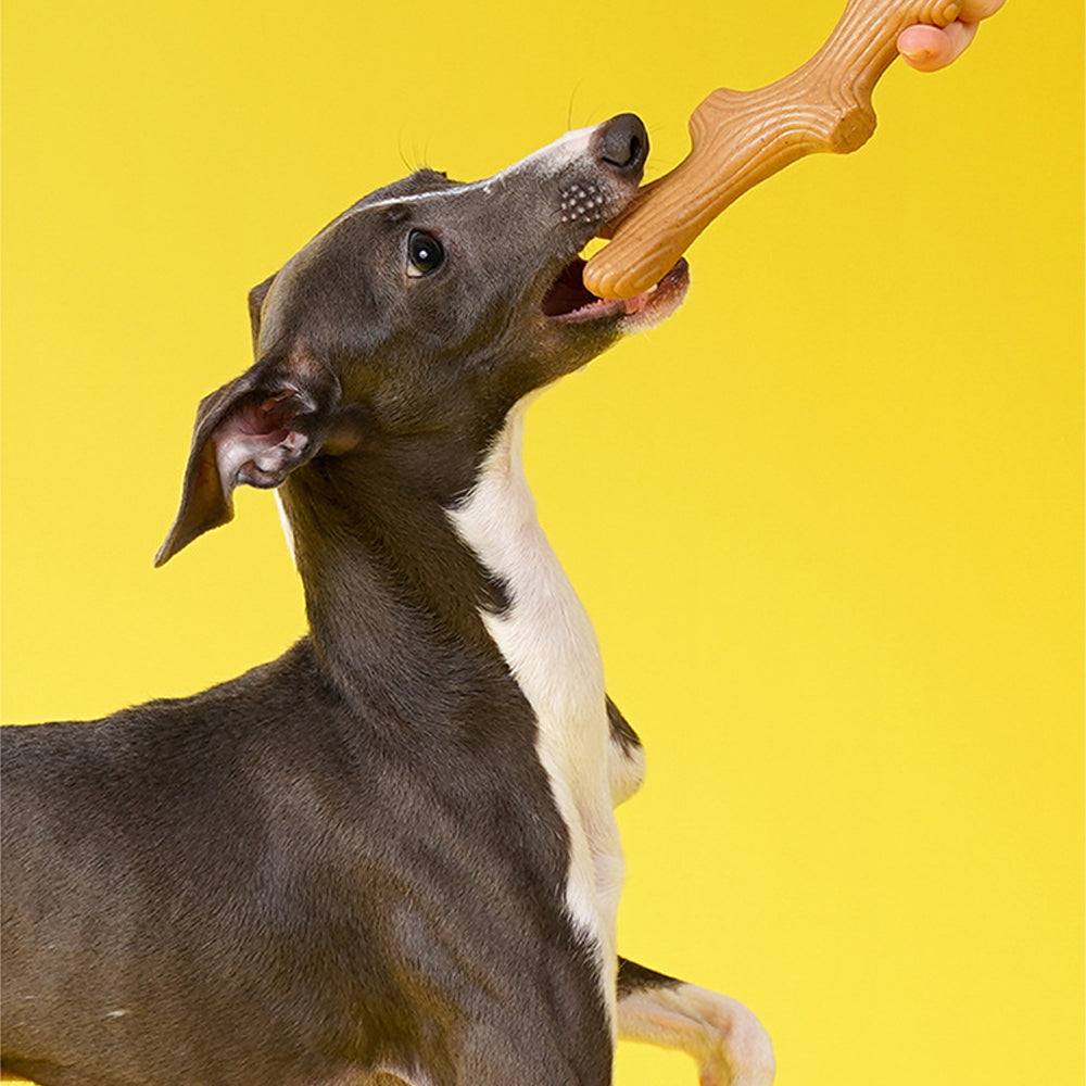 Pretzel Teeth Cleaning Toys