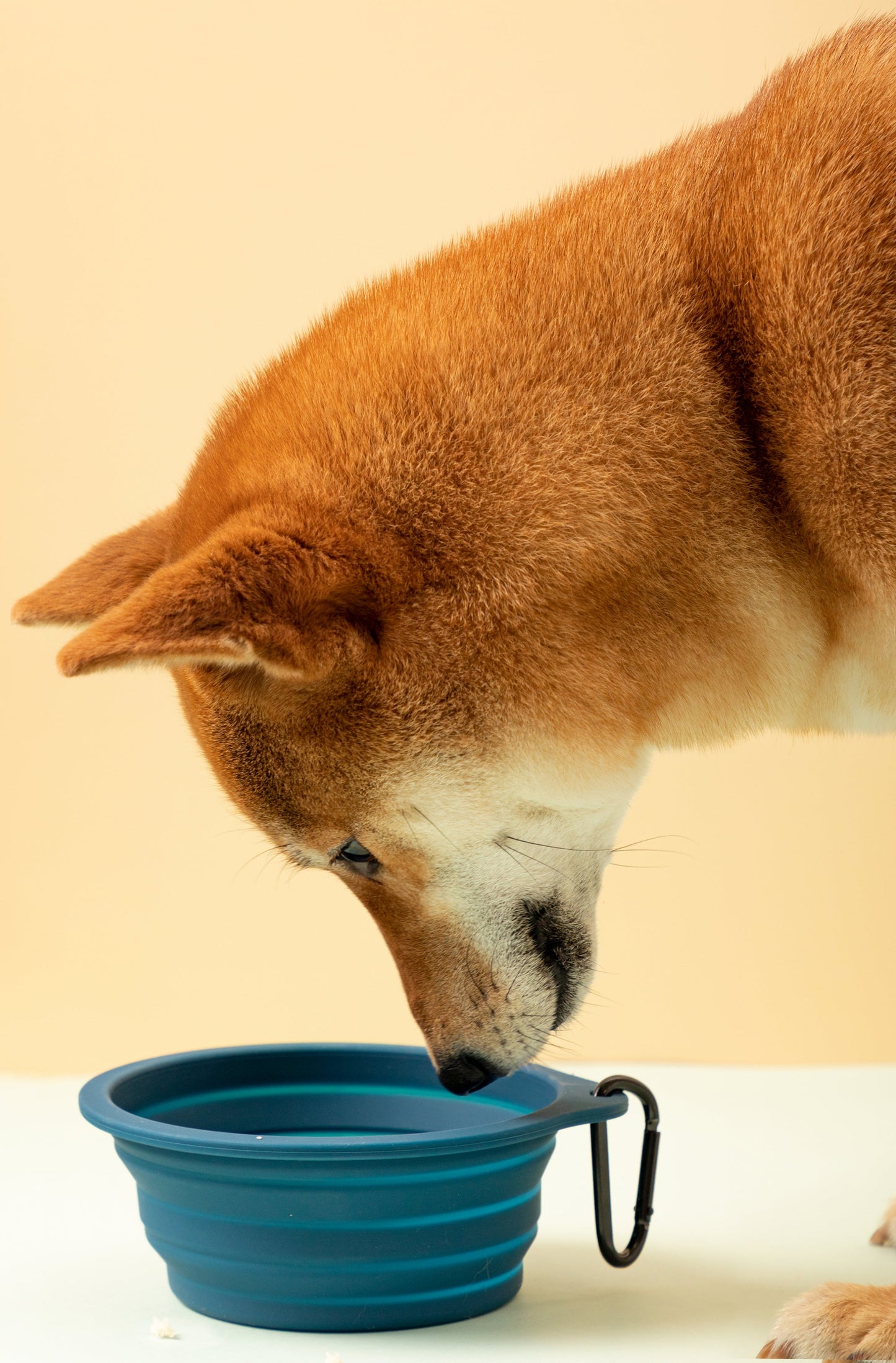 Slurp Silicone Dog and Cat Travel Bowl