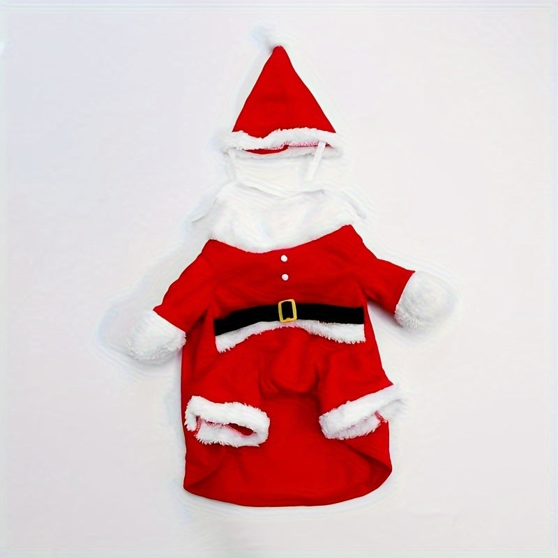 Costume for small breed animals