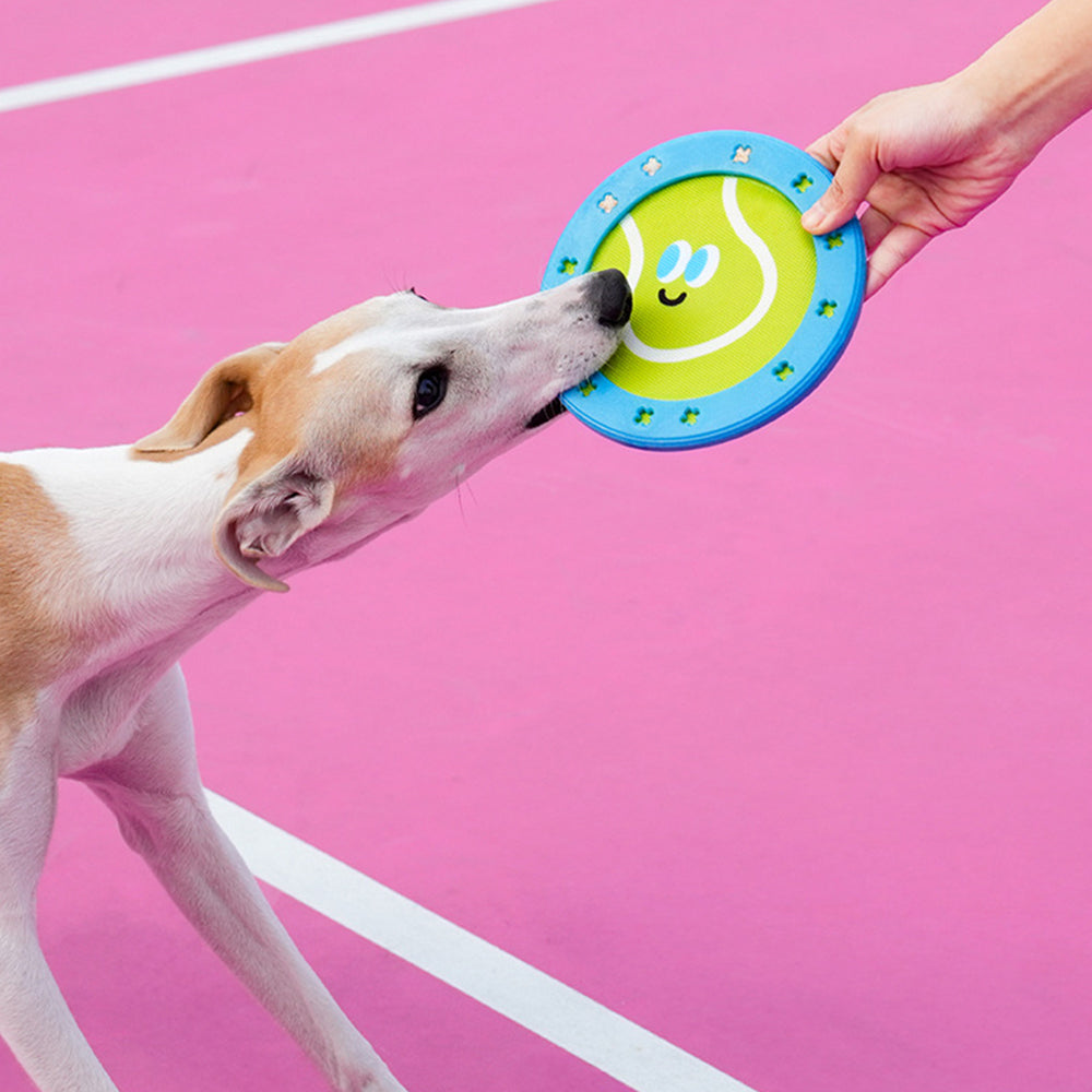 Beginner Training Toy - Interactive Pet Frisbee