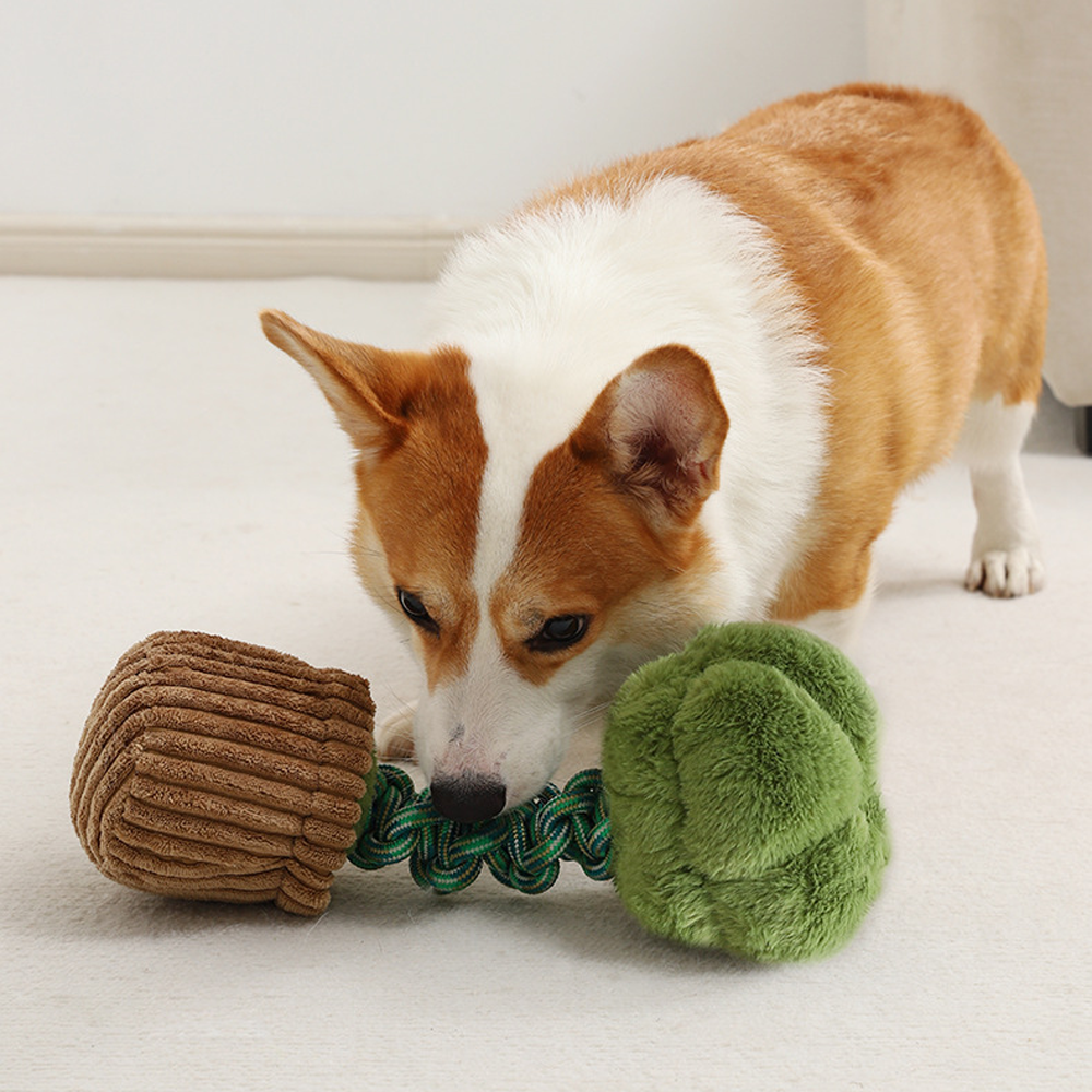Broccoli & Mushroom Sounding Pet Toys