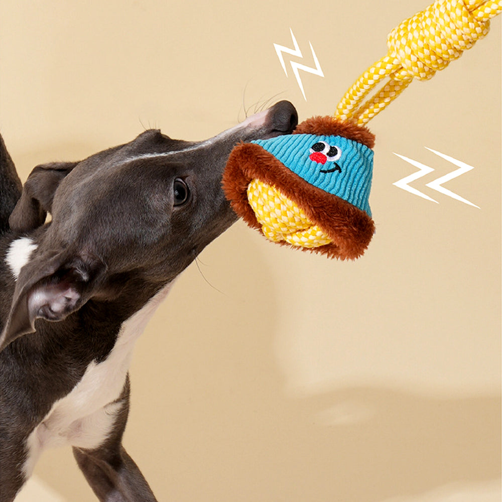 Pull & Play Interactive Tug Light Rope Toys