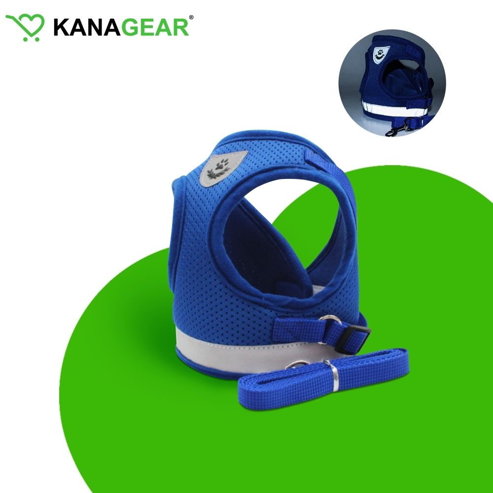EasyWalk™ Cat Harness and Leash Set