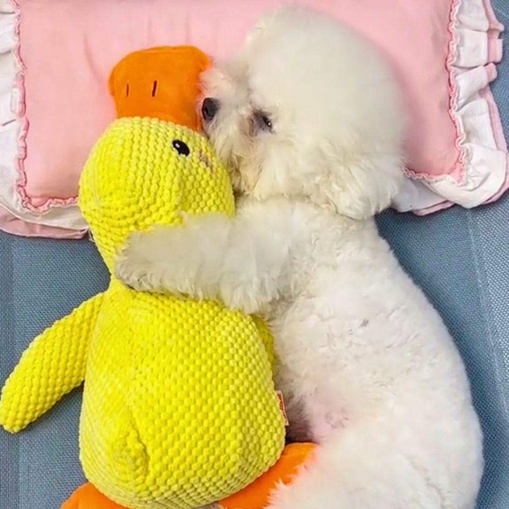 QuackPal™ Calming Duck