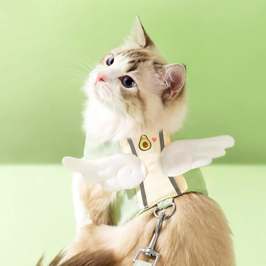 Avocado Cat Harness & Leash Set