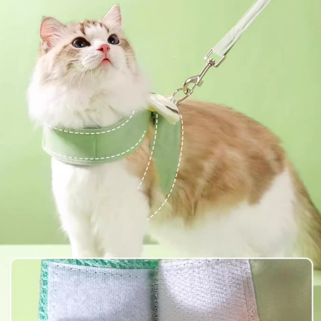 Avocado Cat Harness & Leash Set