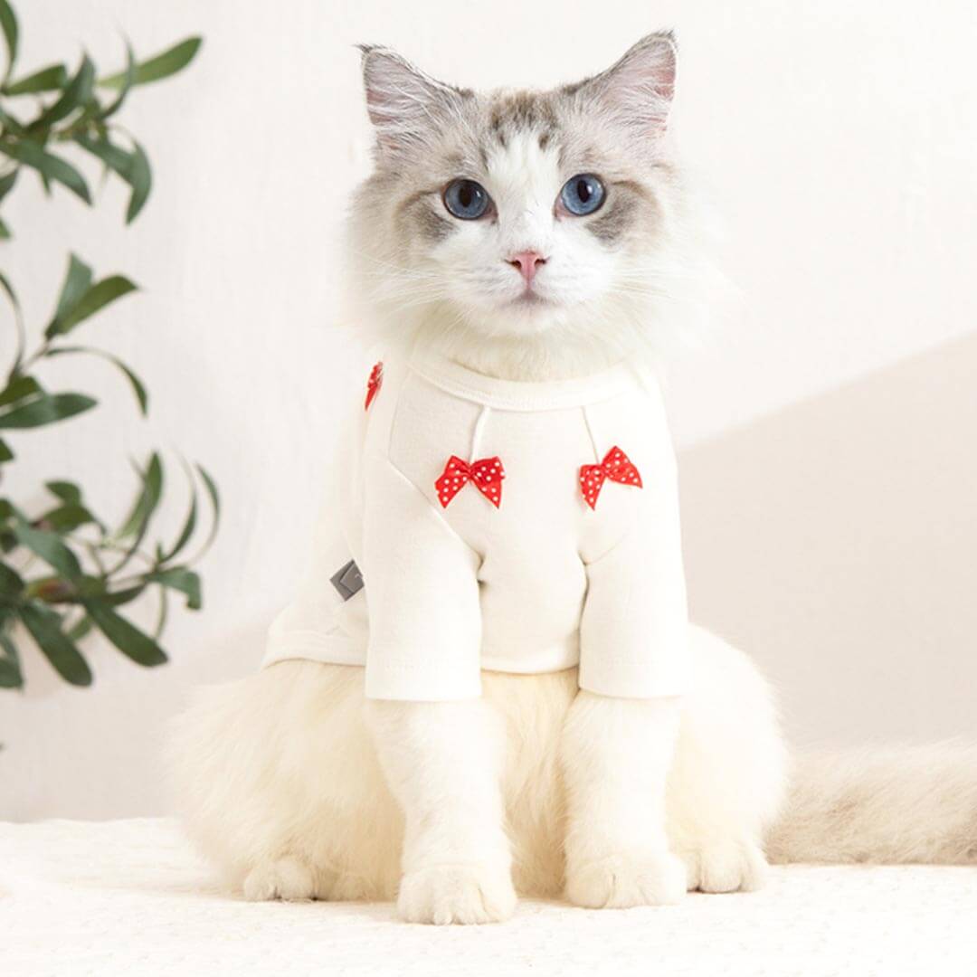 Bella Cat T-Shirt