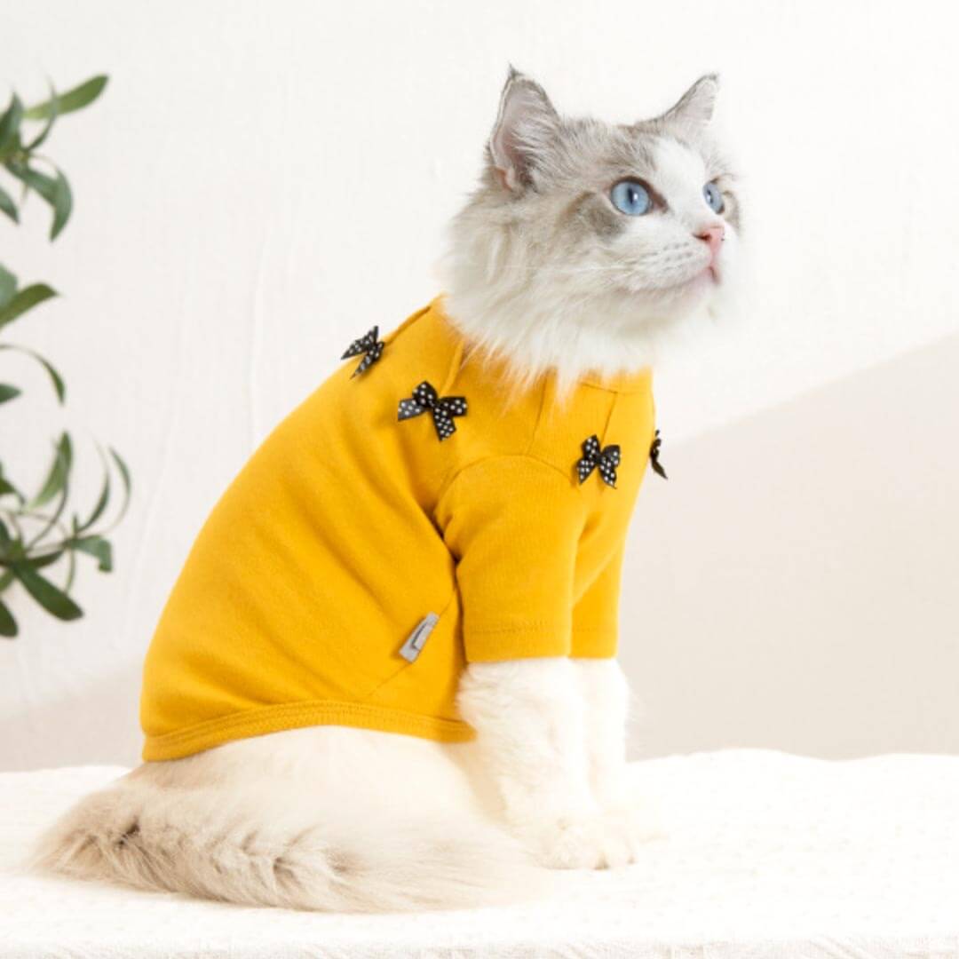Bella Cat T-Shirt