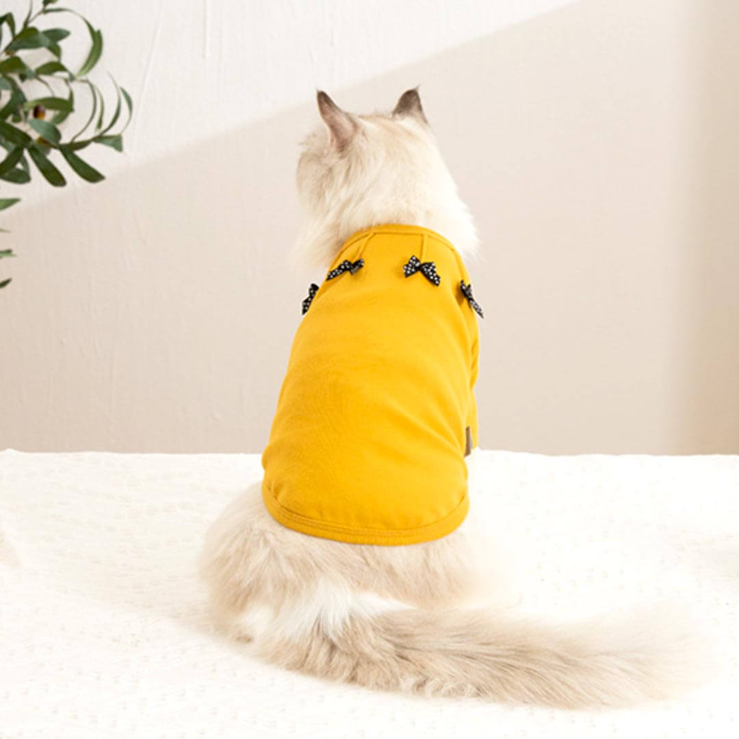 Bella Cat T-Shirt