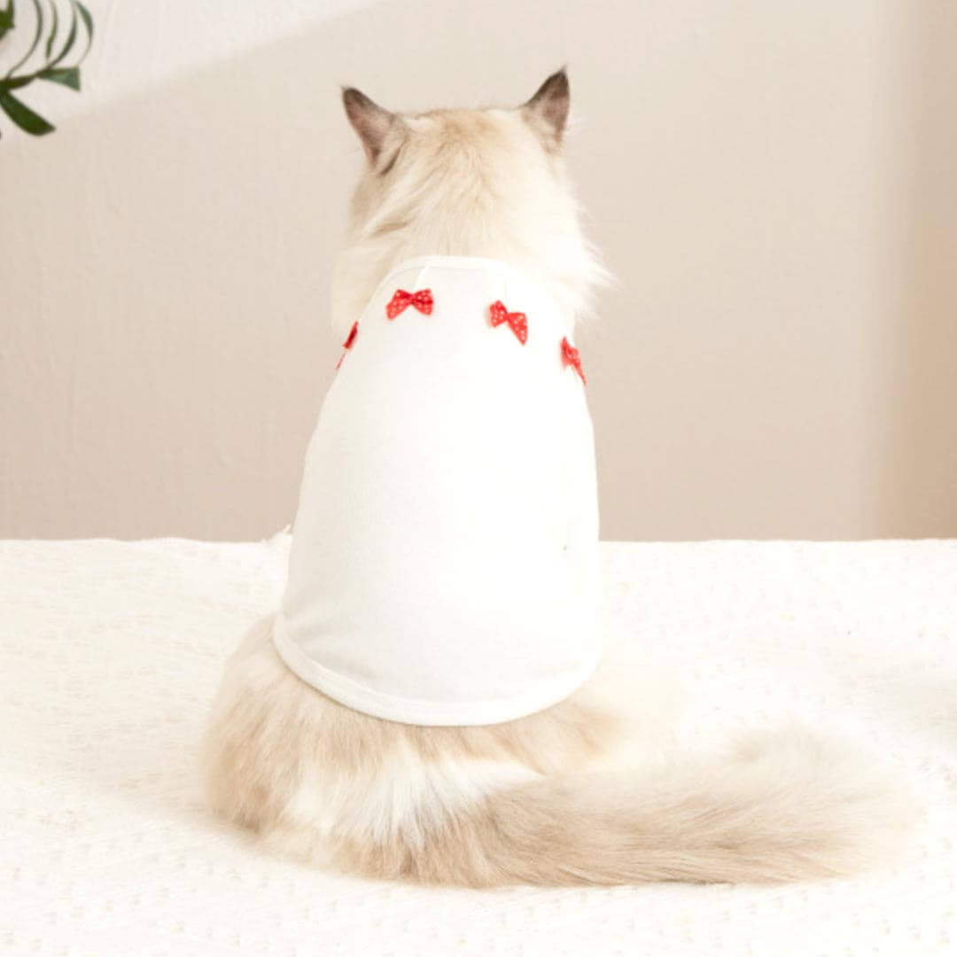 Bella Cat T-Shirt