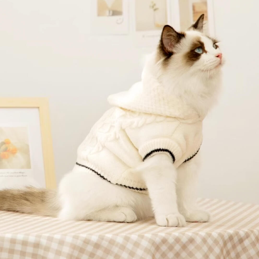 Blanc Cat Hooded Sweater