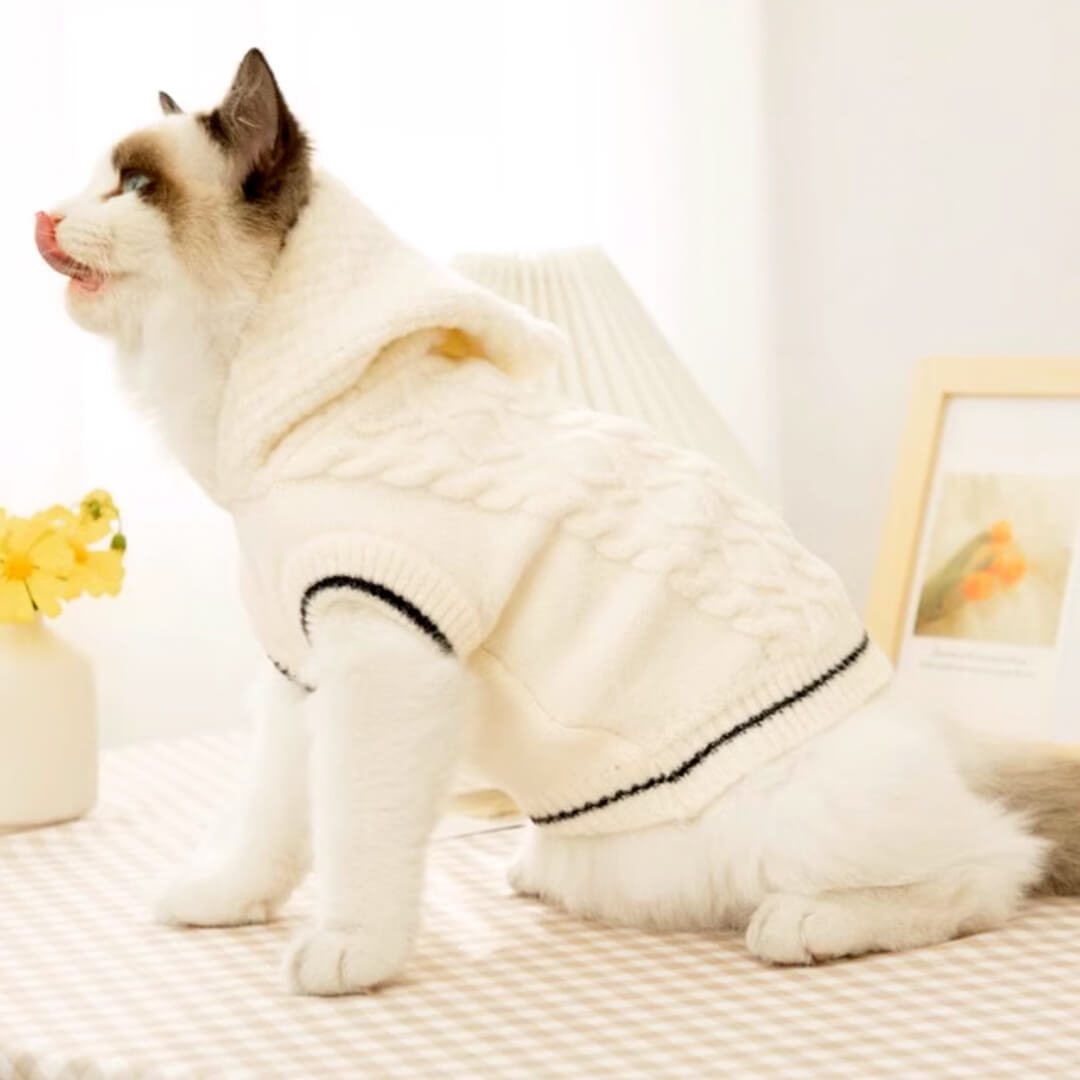 Blanc Cat Hooded Sweater
