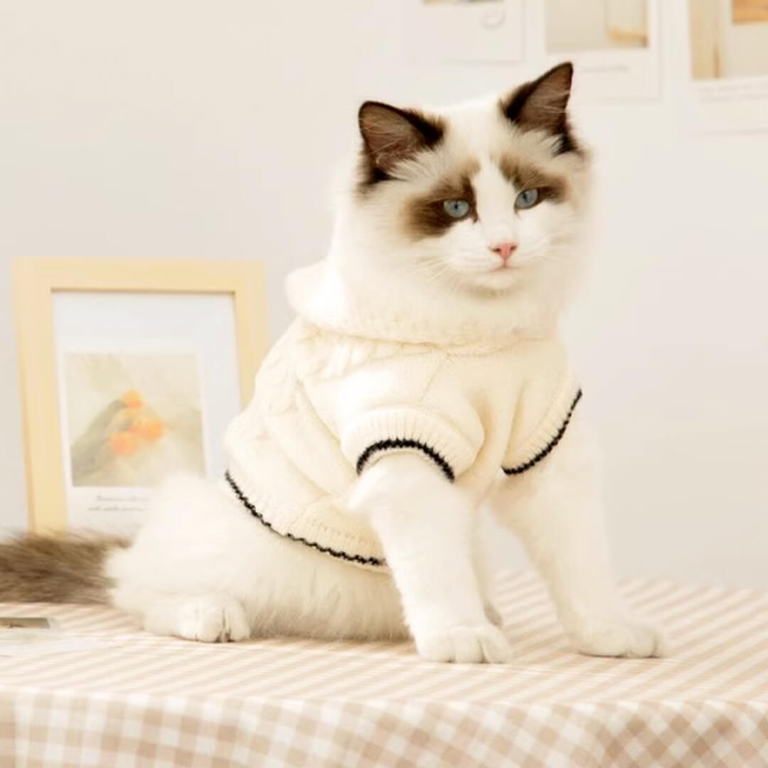 Blanc Cat Hooded Sweater