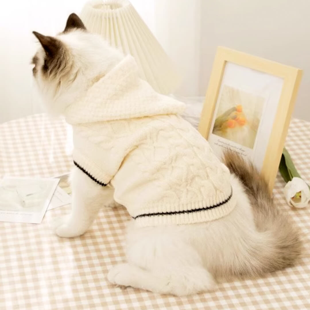 Blanc Cat Hooded Sweater