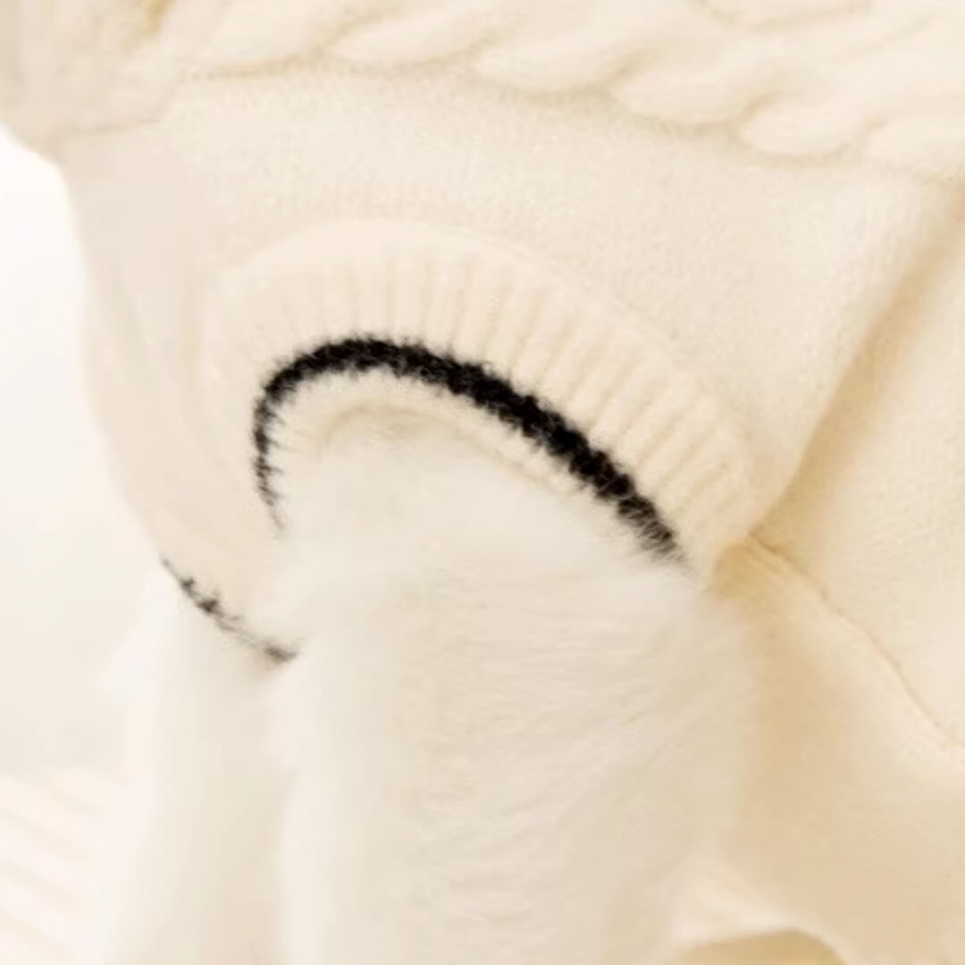 Blanc Cat Hooded Sweater