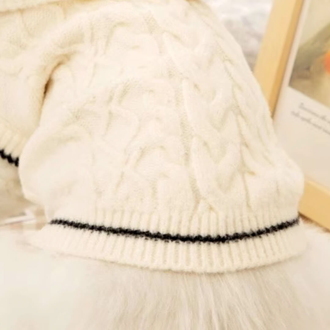 Blanc Cat Hooded Sweater
