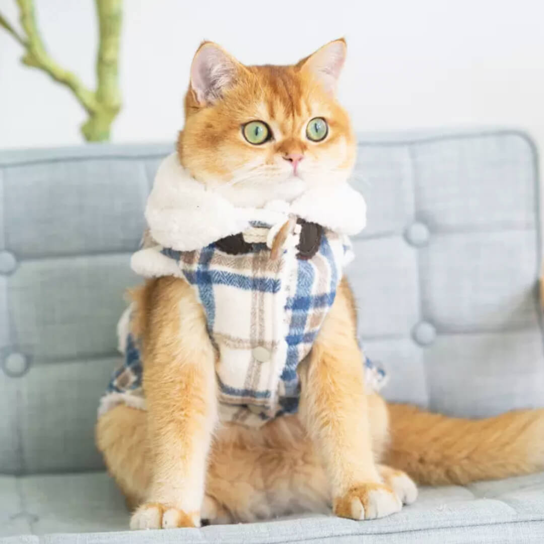 Winston Cat Jacket