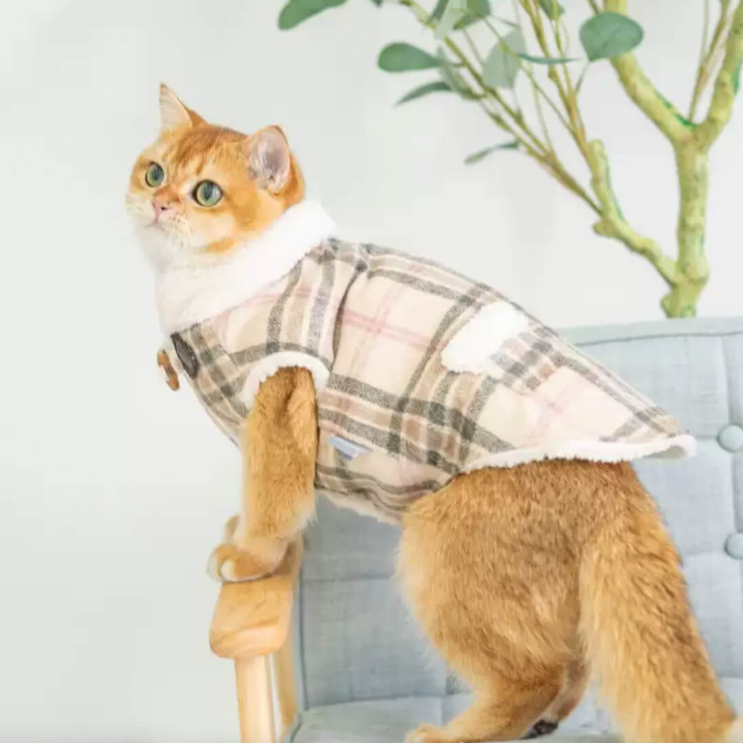 Winston Cat Jacket