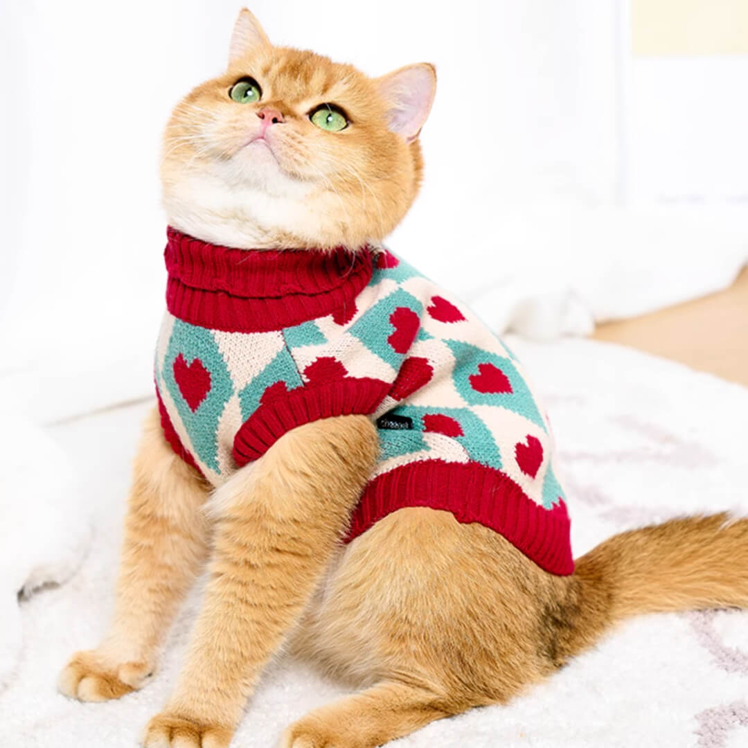 Cupid Cat Sweater