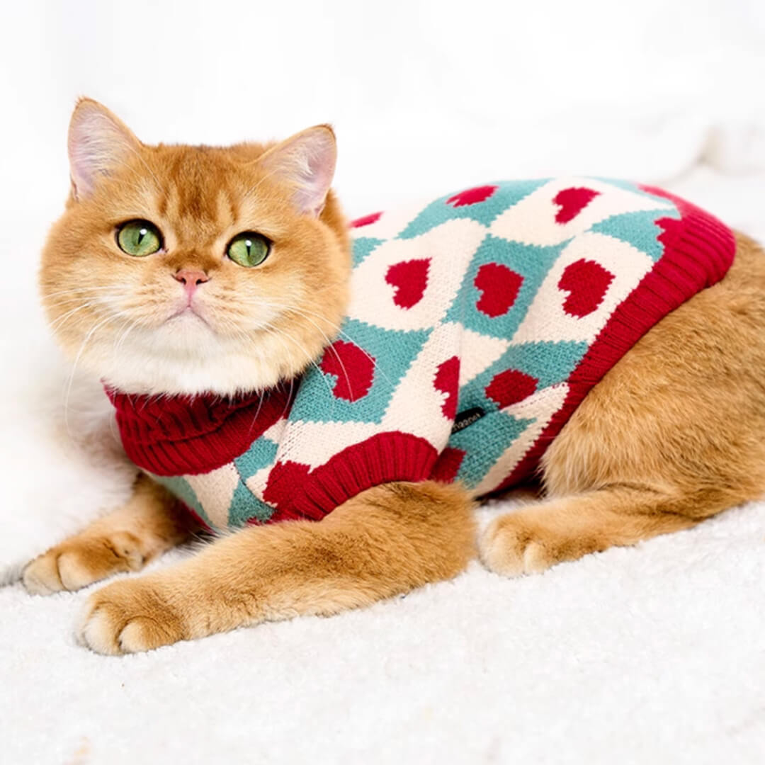 Cupid Cat Sweater