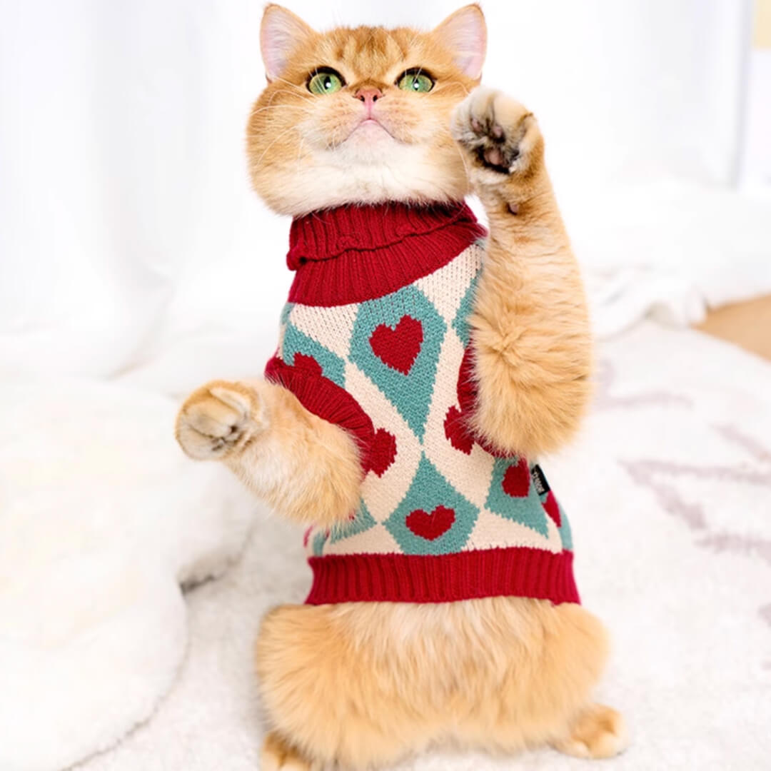 Cupid Cat Sweater