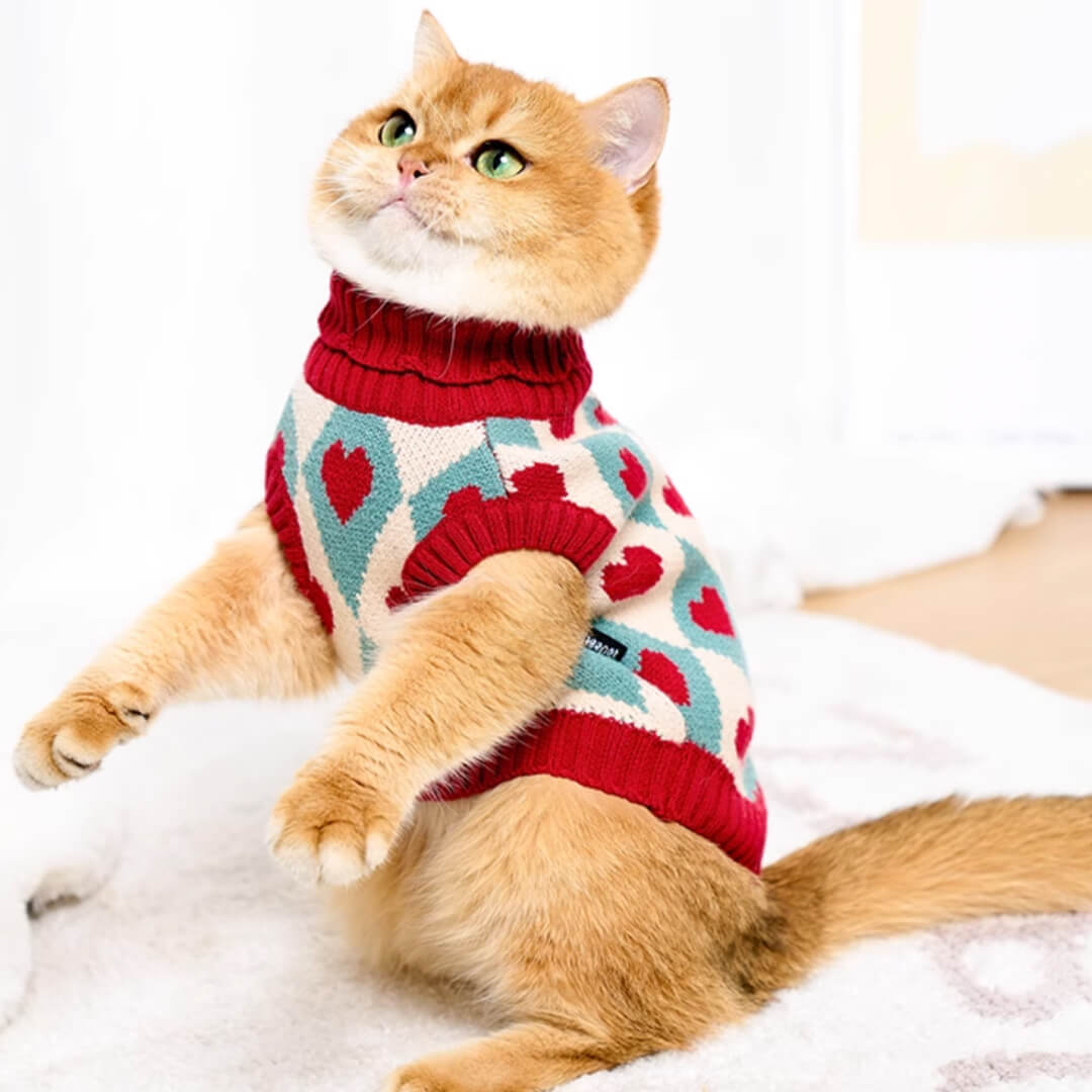 Cupid Cat Sweater
