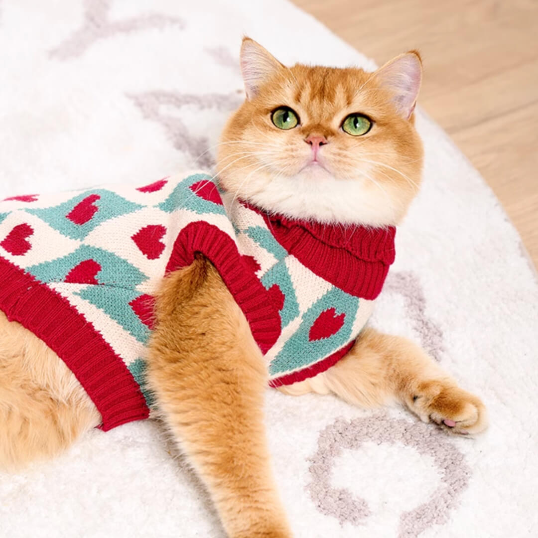 Cupid Cat Sweater