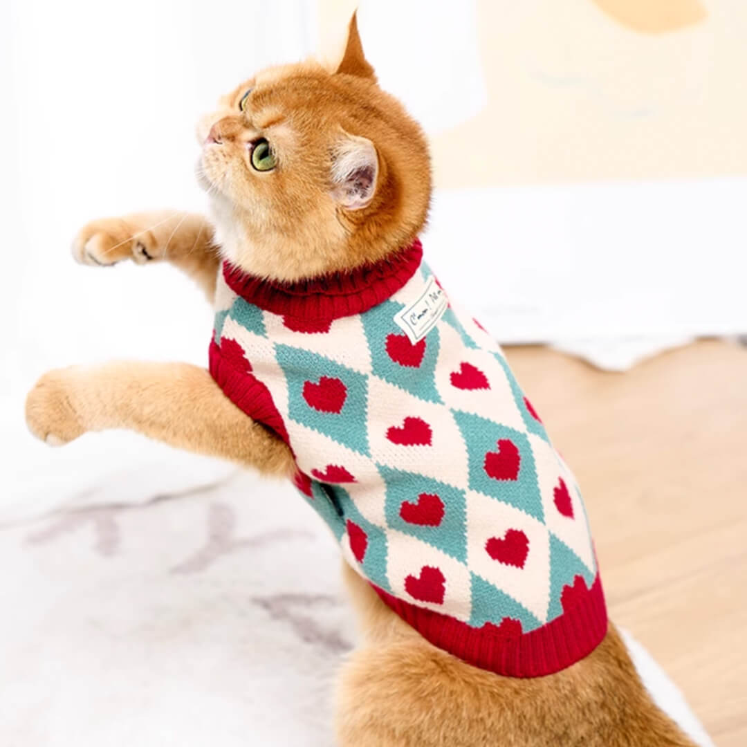 Cupid Cat Sweater