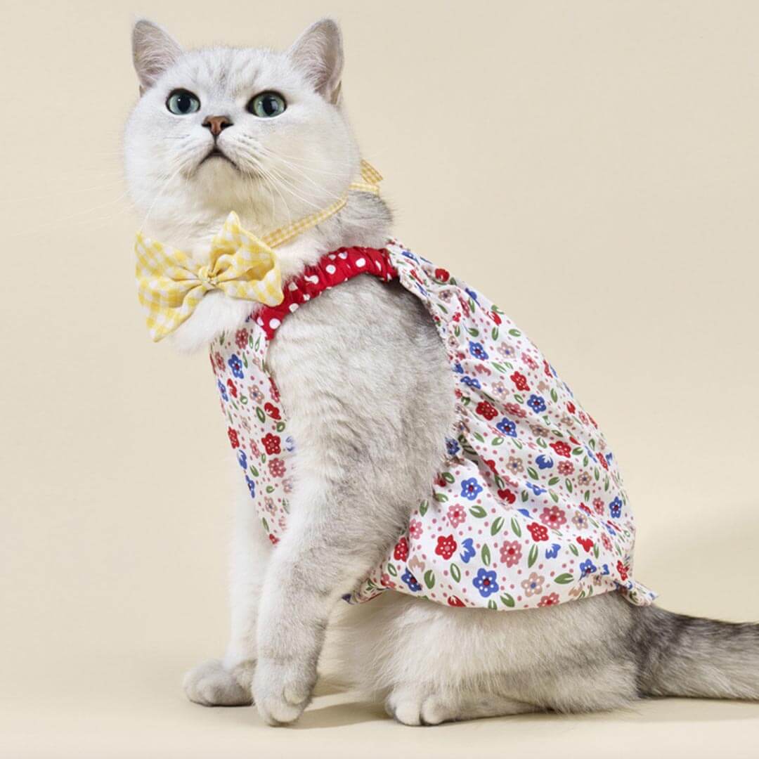 Daisy Cat Dress & Bow Set