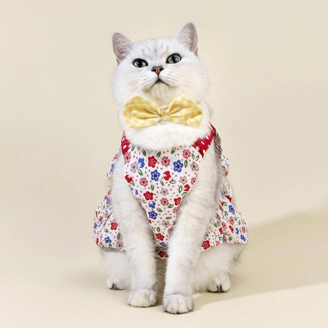 Daisy Cat Dress & Bow Set