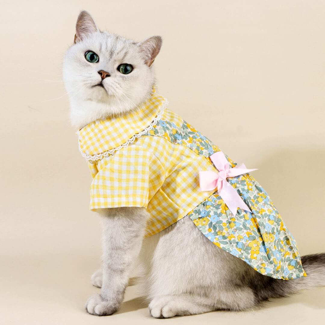 Daisy Cat Dress