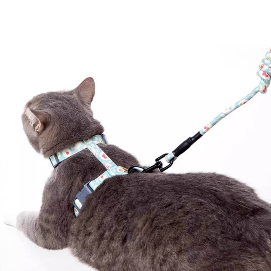 Daisy Cat Harness & Leash Set