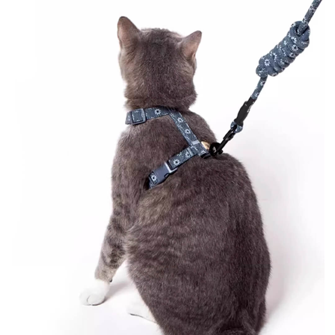 Daisy Cat Harness & Leash Set