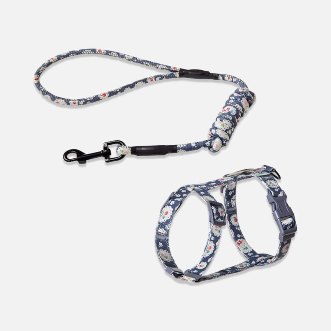 Daisy Cat Harness & Leash Set