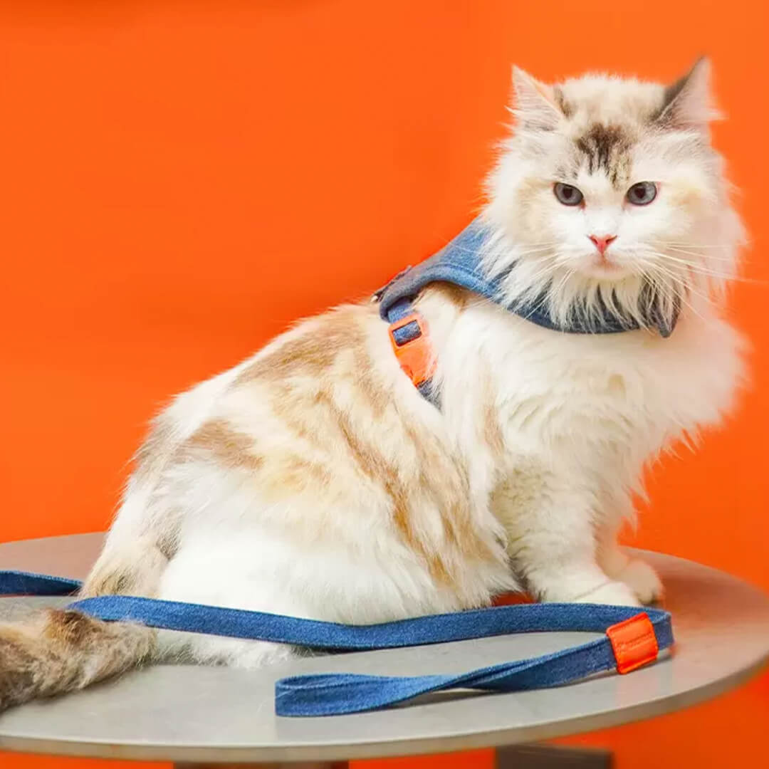 TouchCat Indigo Cat Harness & Leash Set