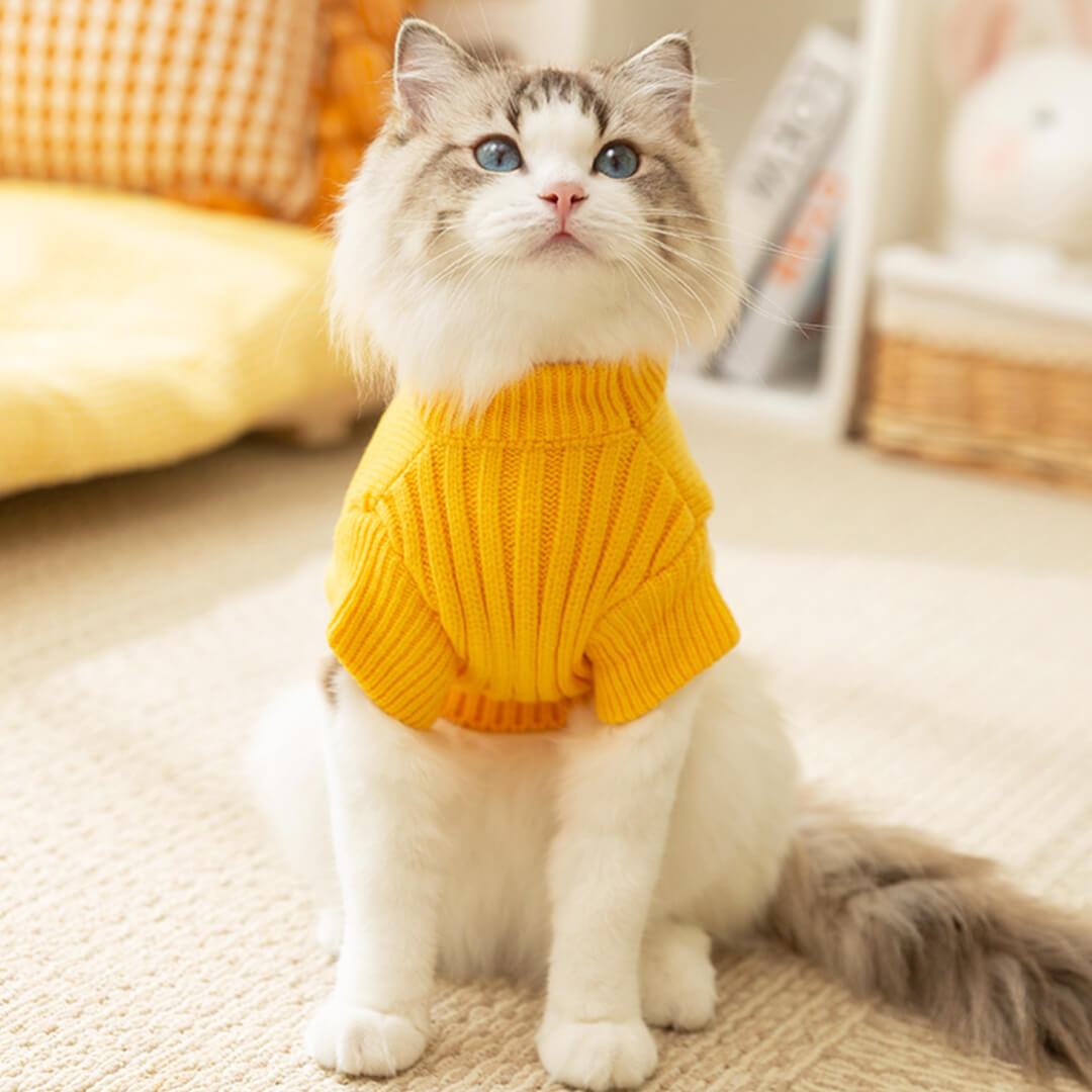 Dino Cat Sweater