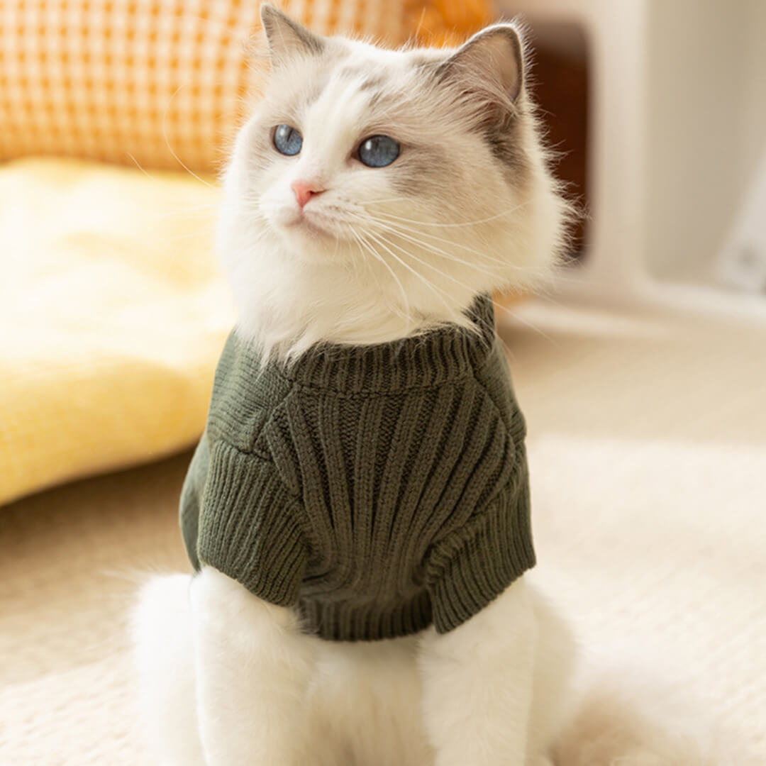 Dino Cat Sweater